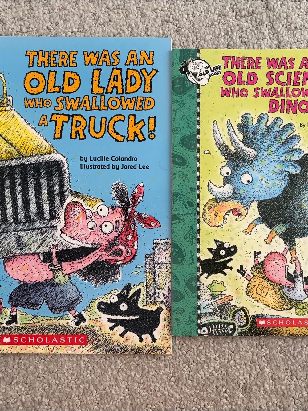 Scholastic Kids' Books: There Was an Old Lady Who Swallowed…